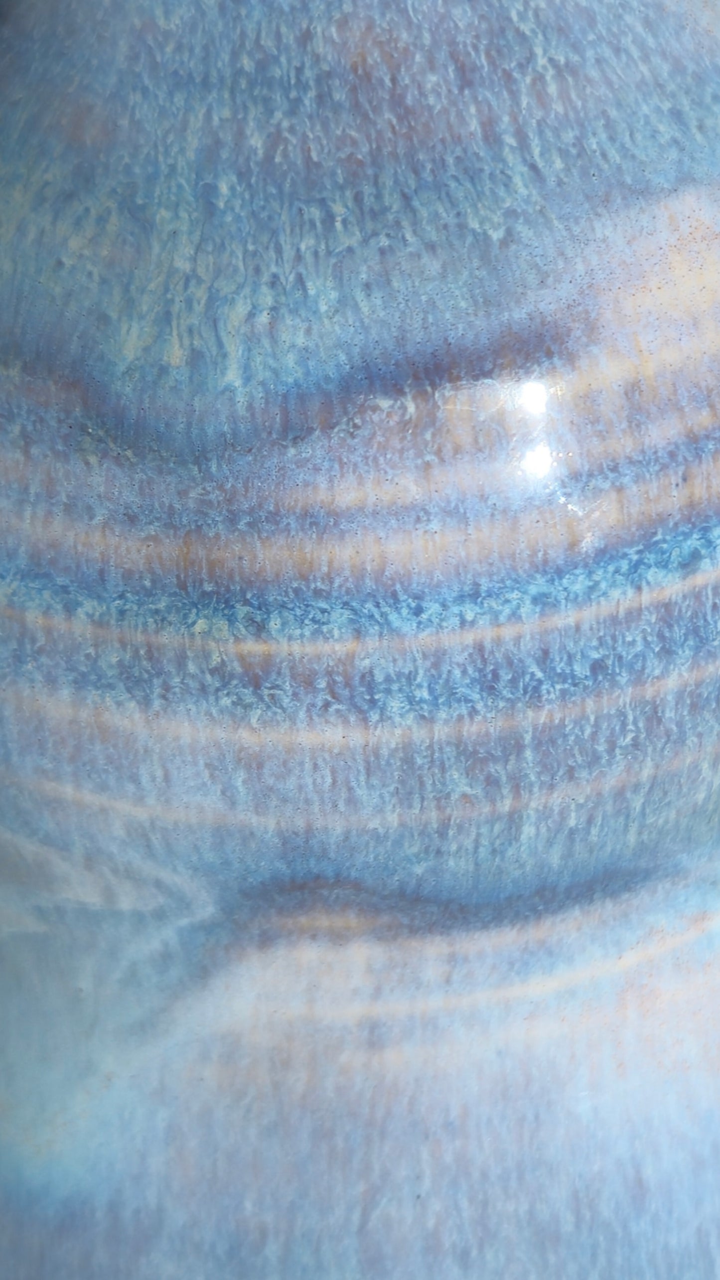 Oil Bottle